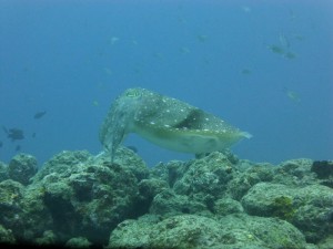 P1160121
