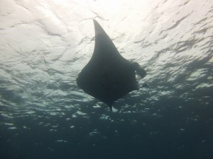 P1160165