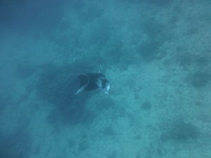 P1160203