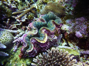 P1160304