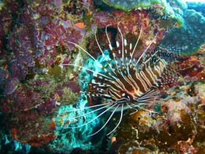 P1160327