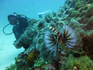 P1160337
