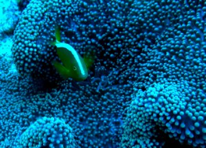 P1160400