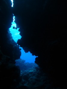 P1160406