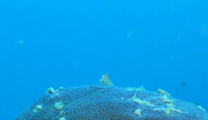 P1160421