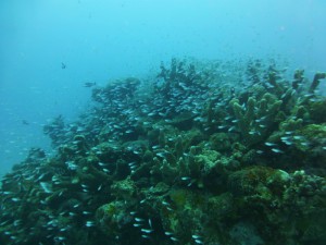P1160774