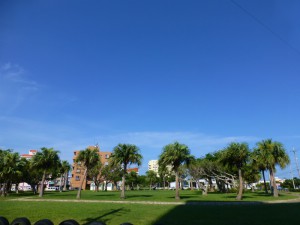 P1160879