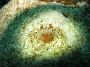 IMG_2835