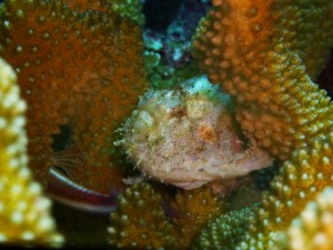 P1170530
