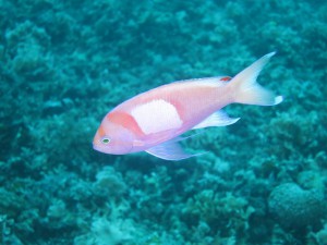 IMG_2956
