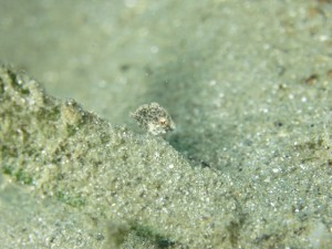 IMG_3003