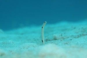 IMG_4938