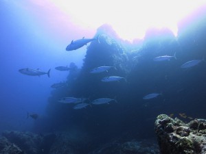 IMG_5119