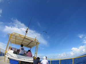 IMG_5481