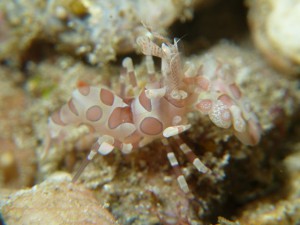 P1030557