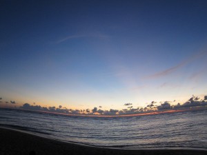ns-IMG_1365