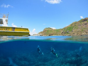 ns-IMG_5212