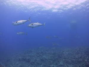 s-IMG_1270