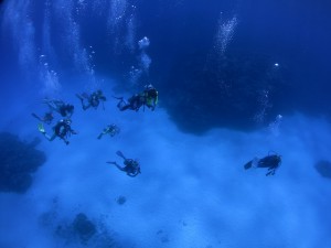 s-IMG_1642