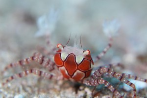 s-IMG_7669