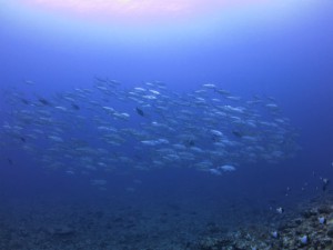 sIMG_5402