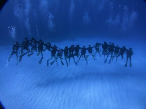 IMG_2387