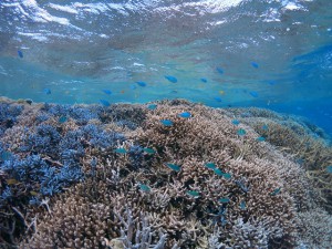IMG_3450