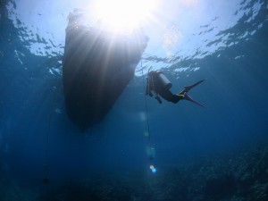 IMG_3776