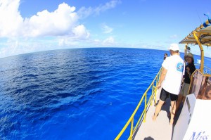 IMG_84131