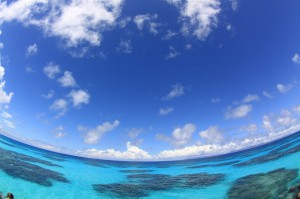 IMG_84411