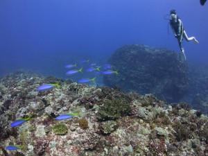 IMG_9837