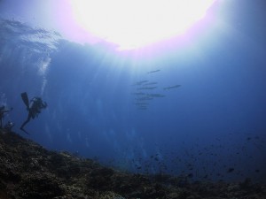 IMG_9872