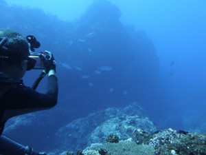 image(2)