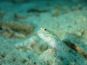 s-IMG_3703