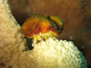 s-IMG_3720