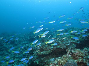 s-IMG_4524