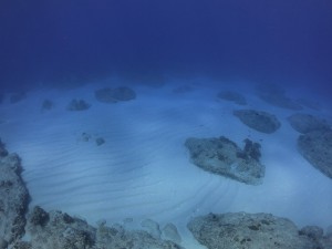 s-IMG_8439