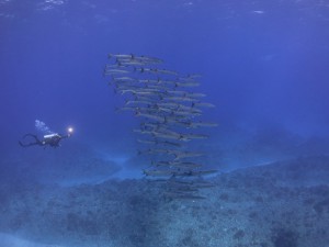 s-IMG_8449