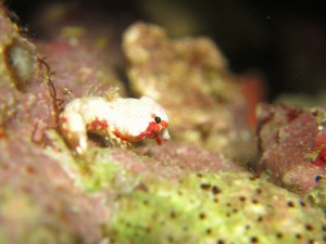 s-IMG_9200