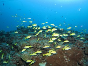 s-IMG_9762