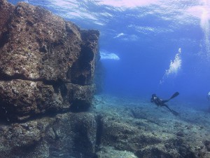 s-s-IMG_8436