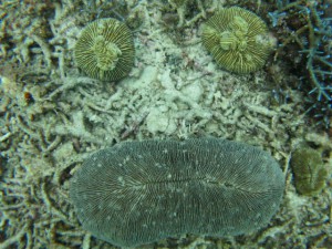 sIMG_2858