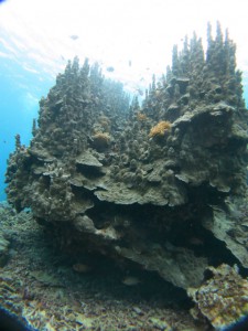 sIMG_2860