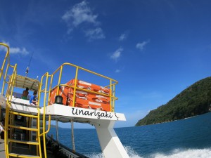 IMG_0194