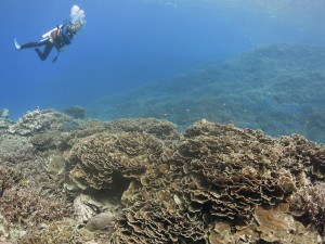 IMG_1120