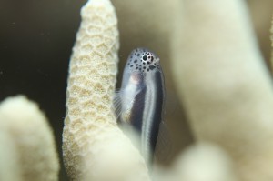 IMG_1667