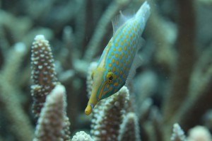 IMG_6612