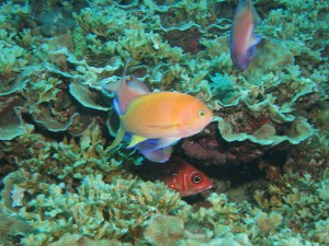 s-IMG_0104