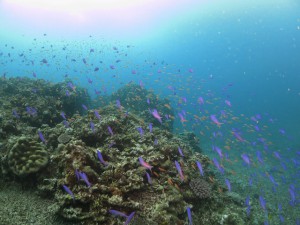 s-IMG_0128