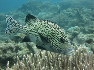 s-IMG_0134